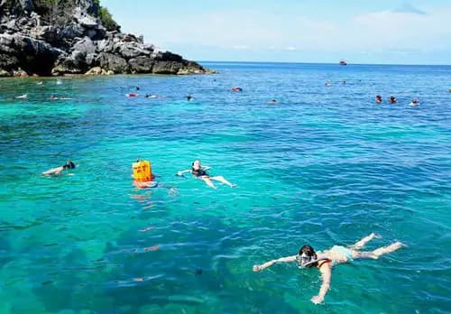 Schnorchelausflug mit schwarzer Korallenriff-Tour auf Koh Phangan