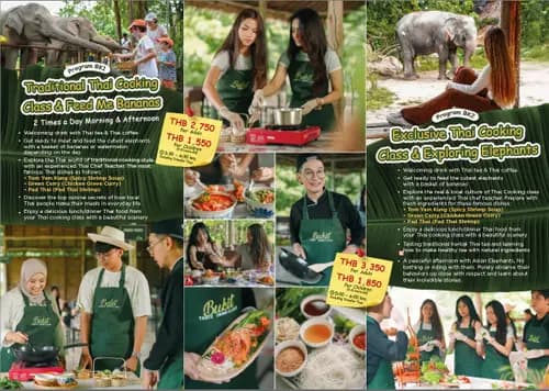 Thai cooking class & elephant feeding