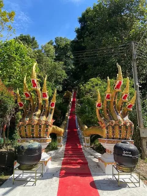 Koh Phangan Tempel-Entdeckungstour: Heilige Tempel, Kultur & Inselpanorama