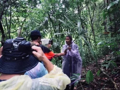 Ganztägige Dschungelwanderung mit Khao Sok Natureskills
