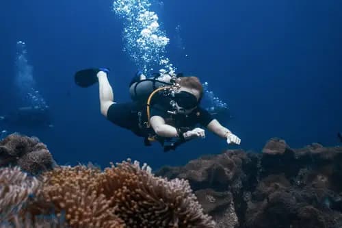 SSI Scuba Diving Courses with Roctopus Dive Koh Tao