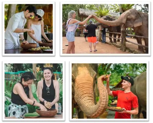 Halbtägige Elefantenpflege im Samui Elephant Home
